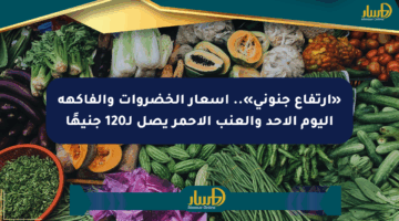 «ارتفاع جنوني».. أسعار الخضروات والفاكهة اليوم الأحد والعنب الأحمر يصل لـ120 جنيهًا
